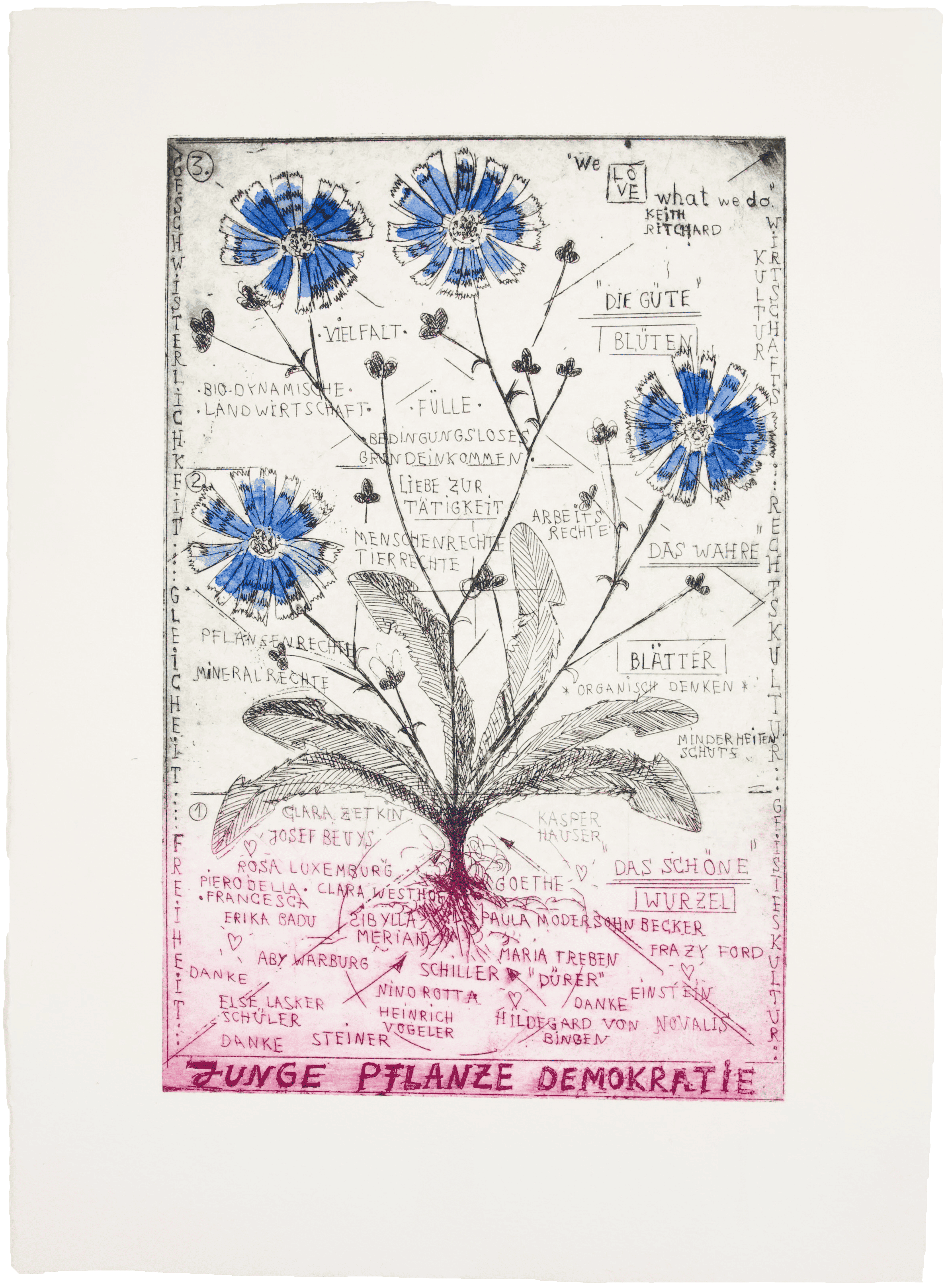 Junge Pflanze Demokratie