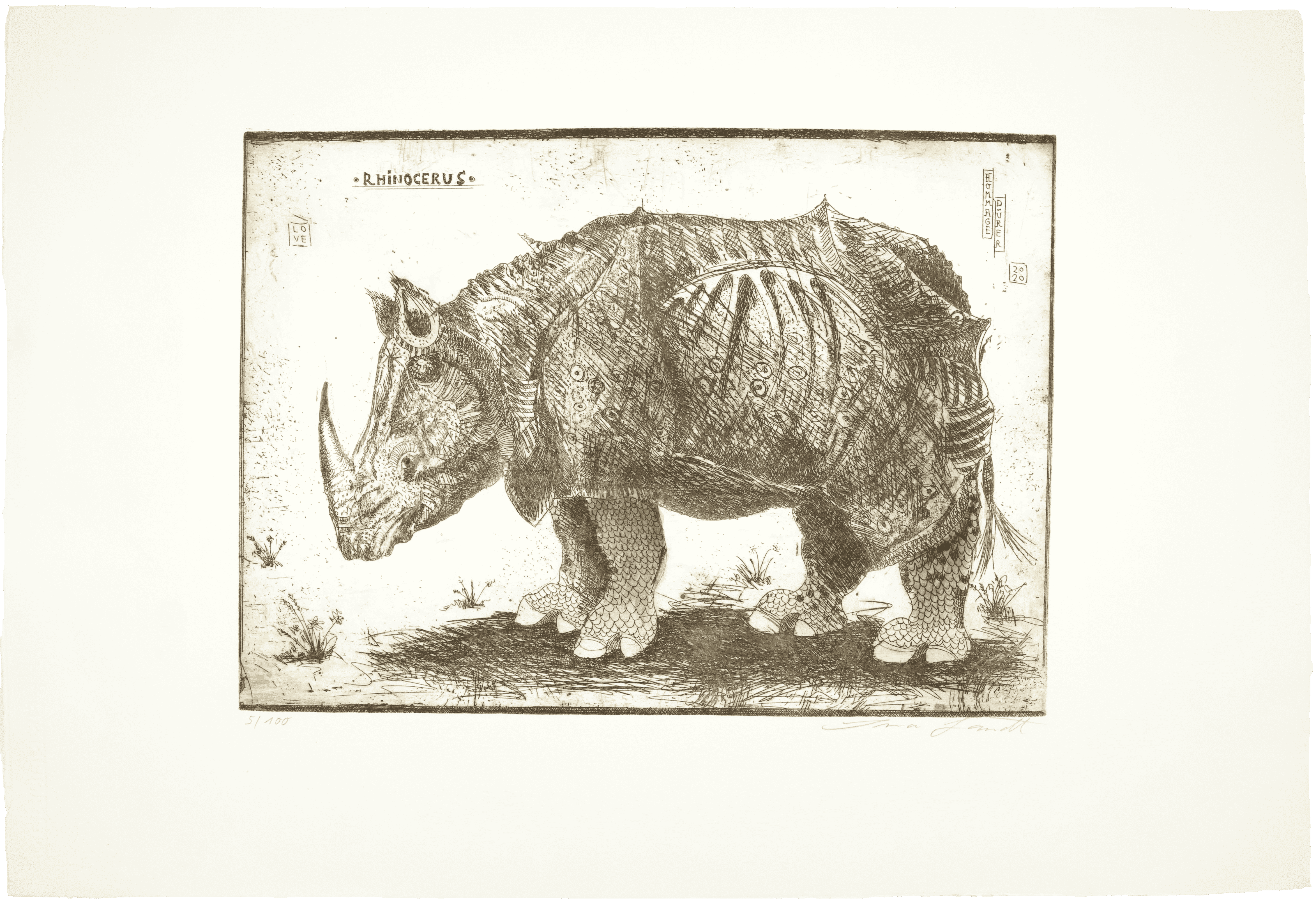 Rhinocerus