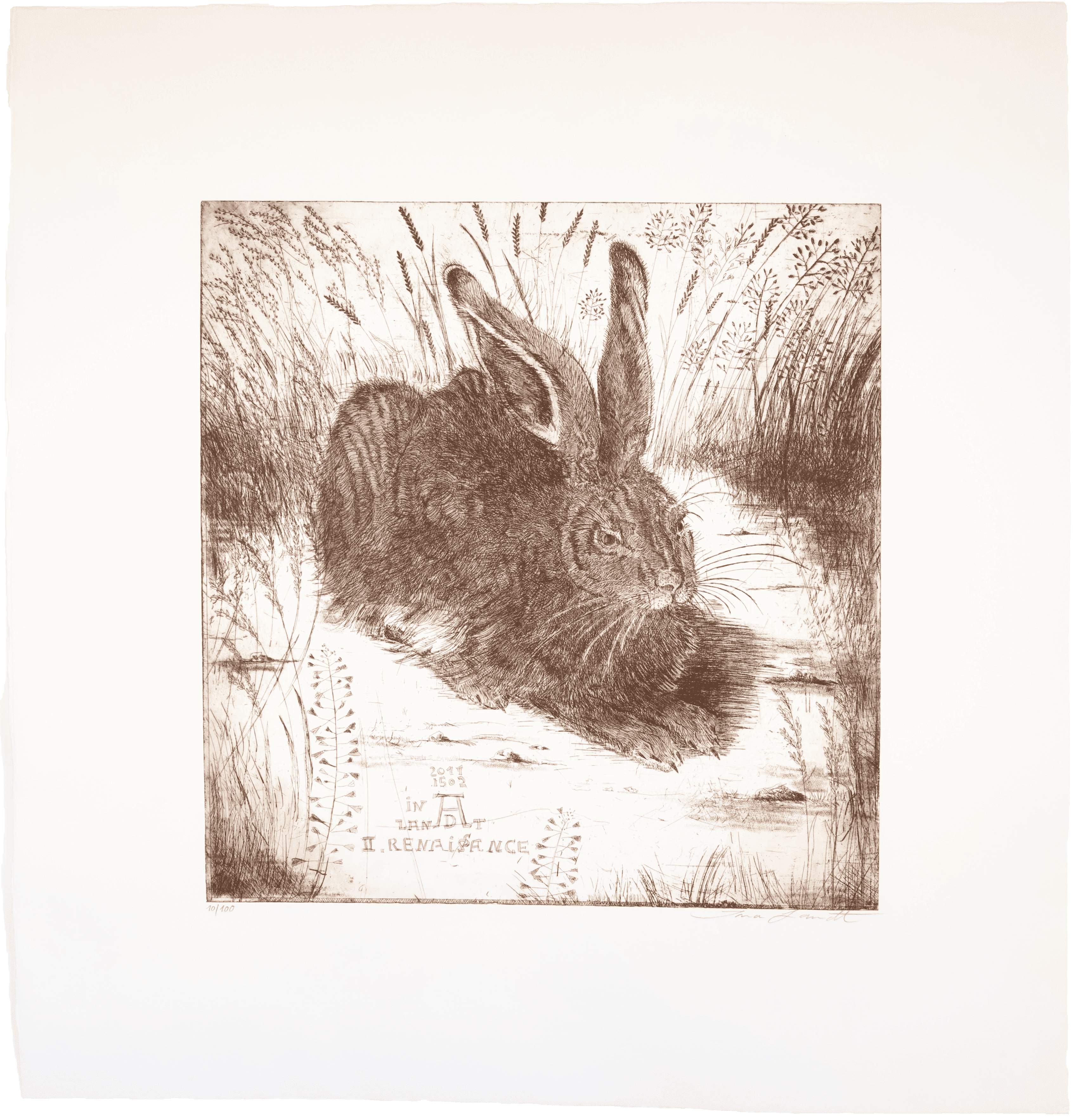 Dürer Hase 